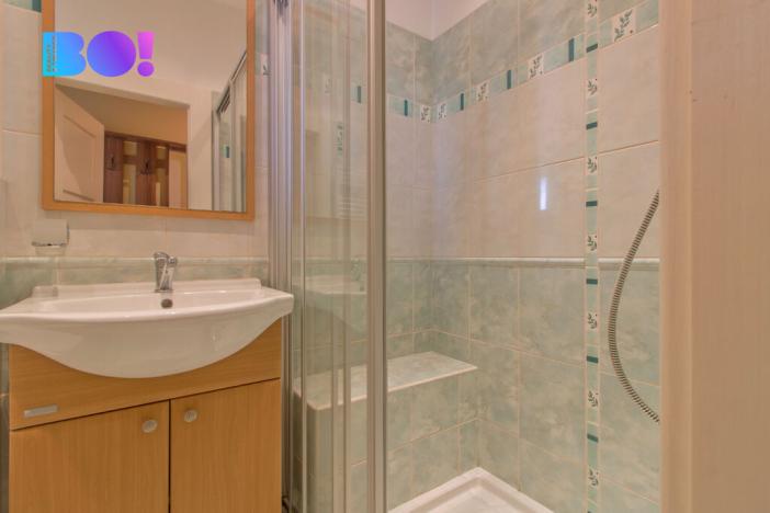 Pronájem bytu 2+kk, Mladá Boleslav, Janáčkova, 54 m2