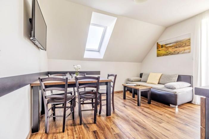 Prodej apartmánu, Červená Voda - Mlýnický Dvůr, 180 m2