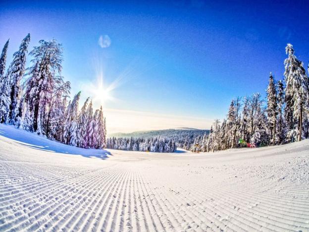 Prodej apartmánu, Červená Voda - Mlýnický Dvůr, 180 m2