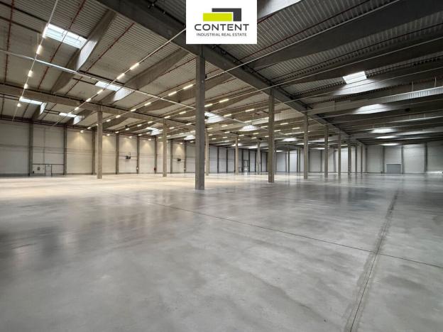 Pronájem výrobních prostor, Přeštice, Průmyslová, 5309 m2