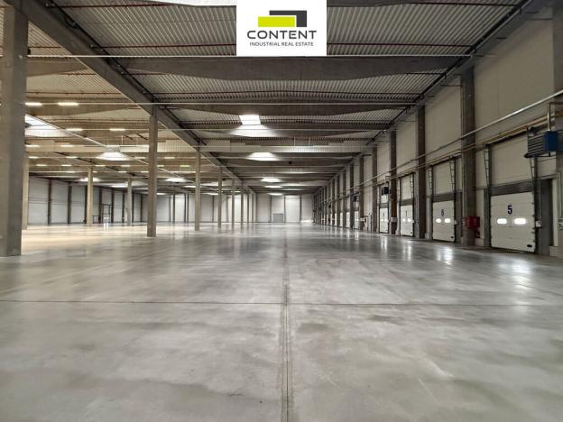 Pronájem výrobních prostor, Přeštice, Průmyslová, 5309 m2