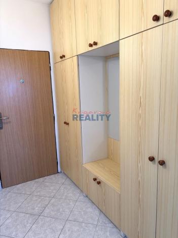 Prodej bytu 3+1, České Budějovice - České Budějovice 3, Čéčova, 63 m2