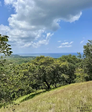 Prodej pozemku pro bydlení, Camp Bay,Honduras, 740 m2