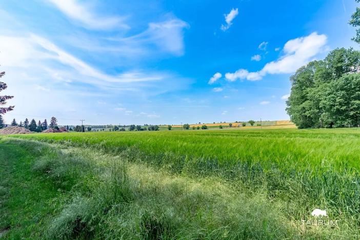 Prodej pozemku pro bydlení, Chodouň, 13216 m2