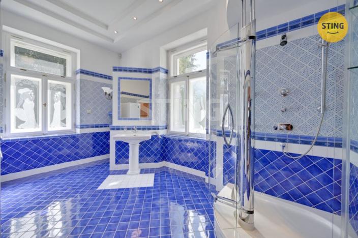 Prodej vily, Luže - Radim, 700 m2