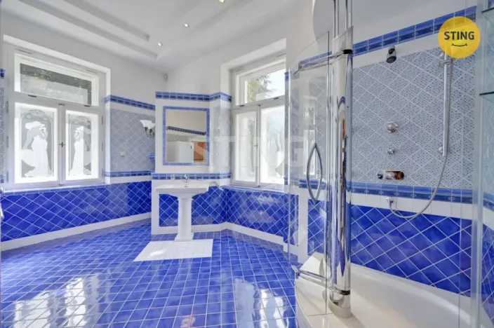 Prodej vily, Luže - Radim, 700 m2