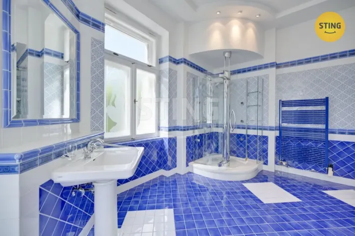 Prodej vily, Luže - Radim, 700 m2