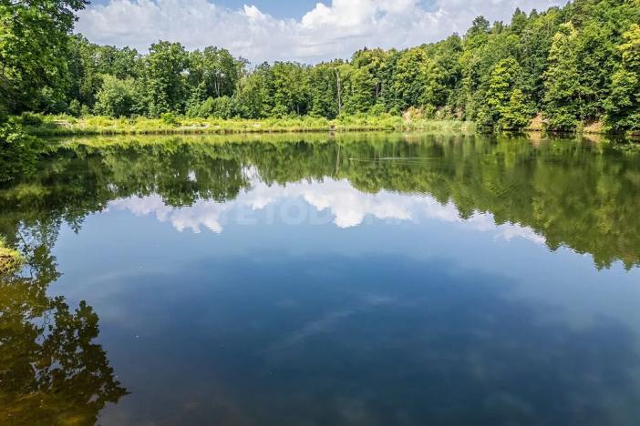 Prodej rodinného domu, Kornatice, 270 m2