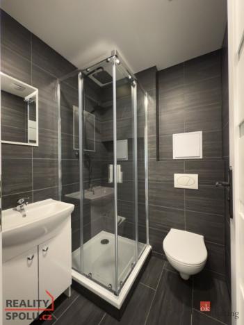 Pronájem bytu 1+1, Petřvald, Josefa Holuba, 38 m2