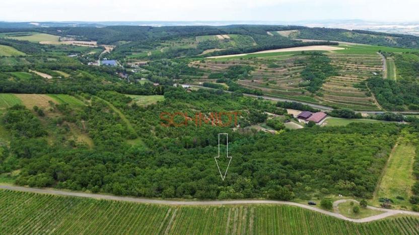 Prodej sadu/vinice, Němčičky, 835 m2