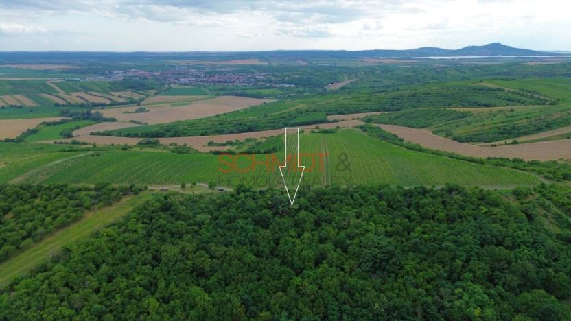 Prodej sadu/vinice, Němčičky, 835 m2