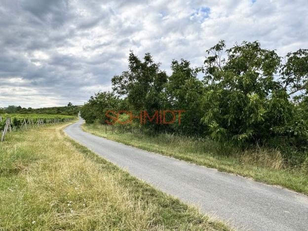 Prodej sadu/vinice, Němčičky, 835 m2