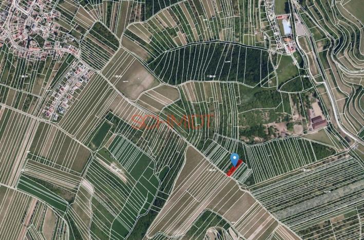 Prodej sadu/vinice, Němčičky, 835 m2