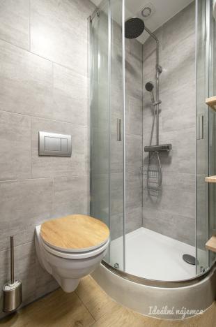 Pronájem bytu 1+kk, Praha - Košíře, Holečkova, 19 m2