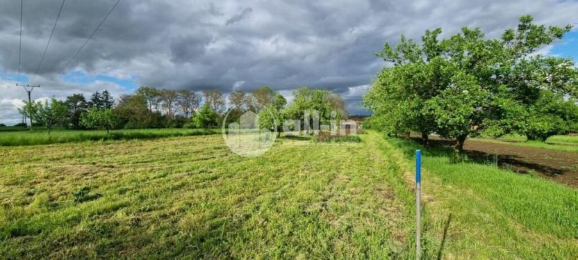 Prodej sadu/vinice, Tištín, 1062 m2