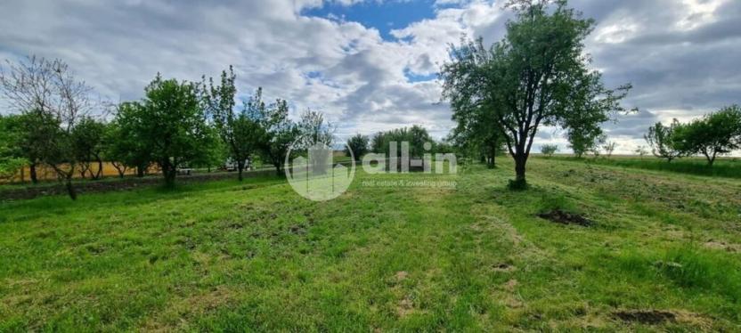 Prodej sadu/vinice, Tištín, 1062 m2