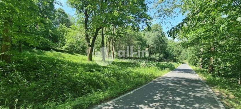 Prodej pozemku pro bydlení, Malá Morava - Vysoký Potok, 1411 m2