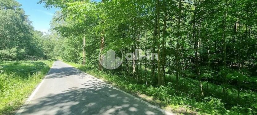 Prodej pozemku pro bydlení, Malá Morava - Vysoký Potok, 1411 m2