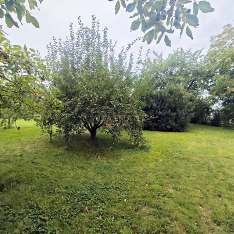 Prodej rodinného domu, Hostín u Vojkovic, 200 m2