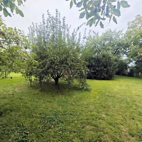 Prodej rodinného domu, Hostín u Vojkovic, 200 m2