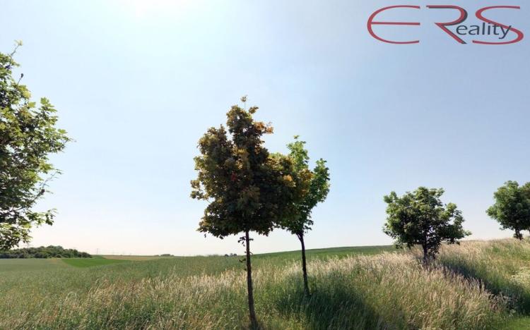 Prodej pole, Čelákovice, 22918 m2