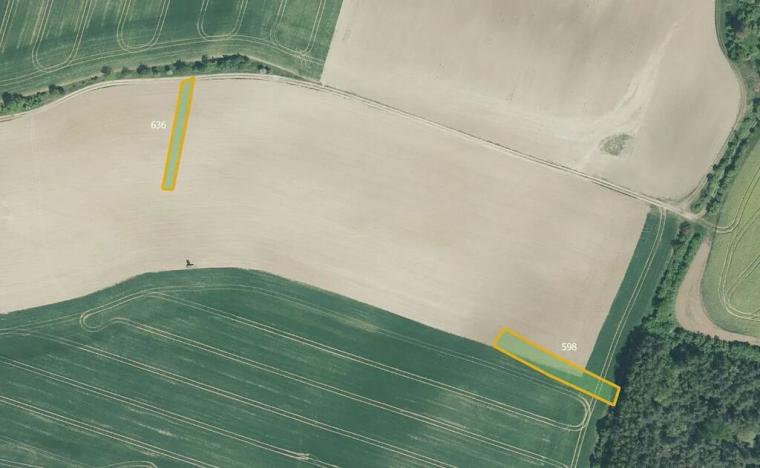 Prodej louky, Honětice, 9179 m2