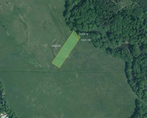 Prodej louky, Majdalena, 10797 m2