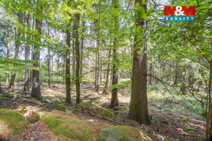 Prodej lesa, Močerady - Nové Dvory, 6098 m2