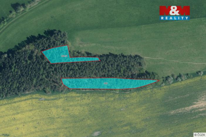 Prodej lesa, Močerady - Nové Dvory, 6098 m2