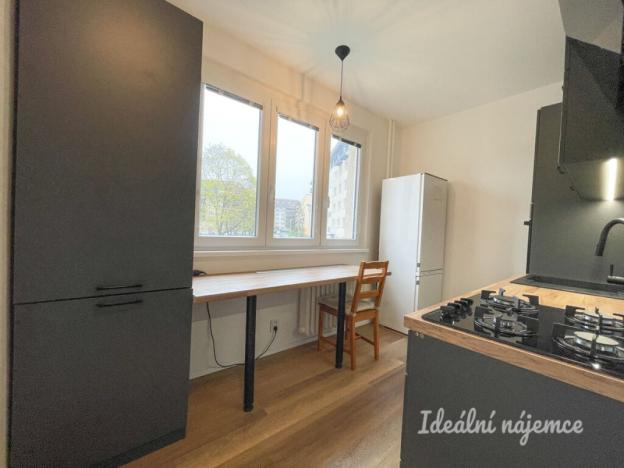 Pronájem bytu 3+1, Brno, Marie Kudeříkové, 55 m2