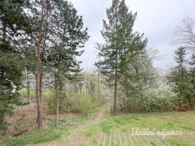 Pronájem bytu 3+1, Brno, Marie Kudeříkové, 55 m2