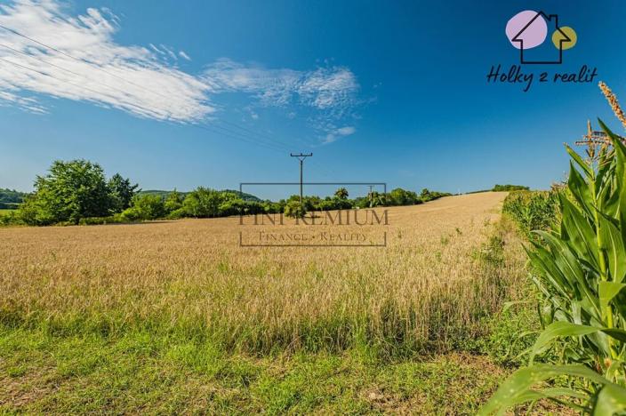 Prodej pozemku pro bydlení, Krňany, 7412 m2