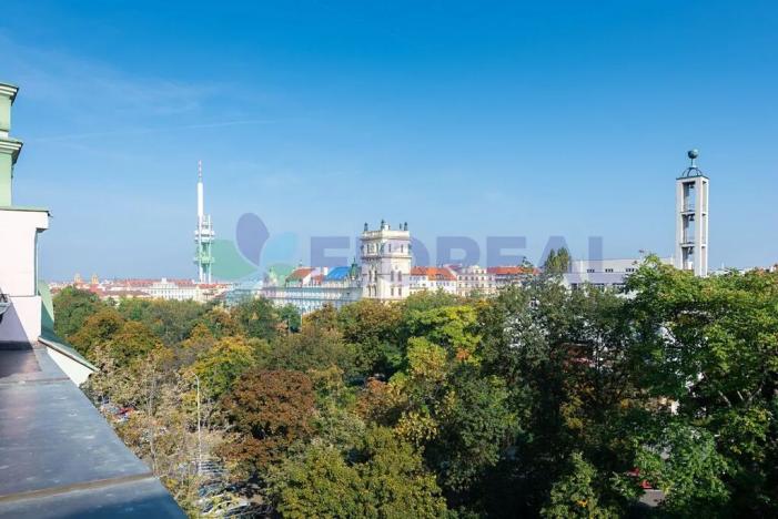 Pronájem bytu 5+1, Praha - Vinohrady, Kladská, 225 m2