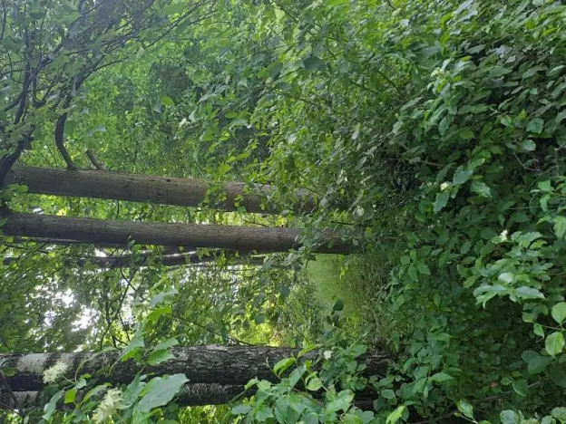 Prodej pozemku, Rožnov pod Radhoštěm, 126 m2