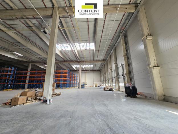 Pronájem skladu, Kozomín, 2000 m2