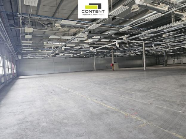 Pronájem výrobních prostor, Plzeň - Skvrňany, U Nové Hospody, 2880 m2