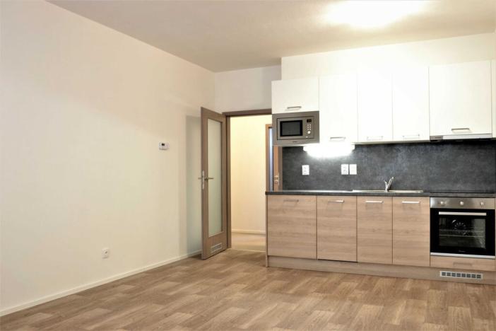 Prodej bytu 1+kk, Brno - Černovice, Turgeněvova, 40 m2