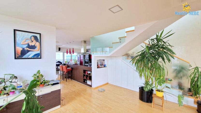 Prodej bytu 4+kk, Brno - Lesná, Majdalenky, 446 m2