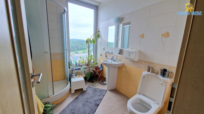 Prodej bytu 4+kk, Brno - Lesná, Majdalenky, 446 m2