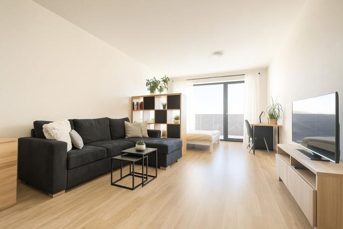 Prodej bytu 1+kk, Brno - Slatina, Řípská, 39 m2