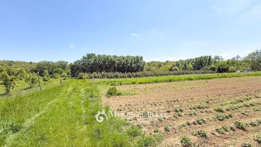 Prodej pozemku, Znojmo - Oblekovice, 8172 m2