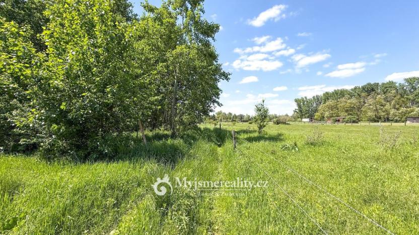 Prodej pozemku, Znojmo - Oblekovice, 8172 m2