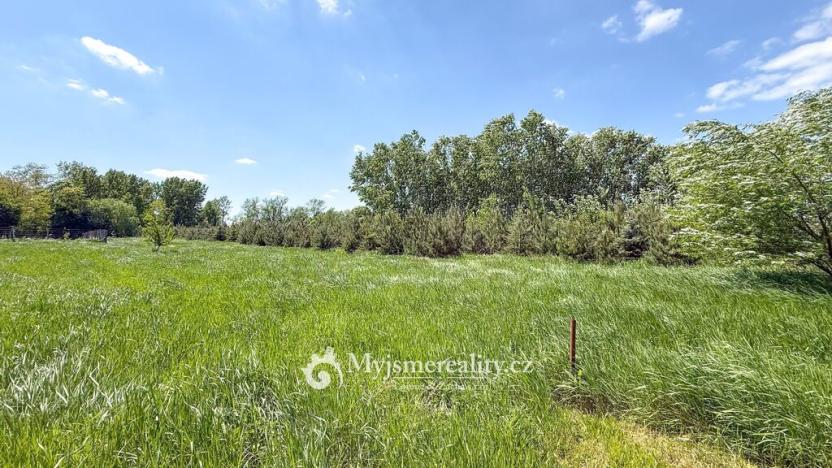 Prodej pozemku, Znojmo - Oblekovice, 8172 m2