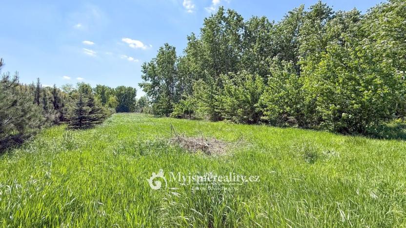 Prodej pozemku, Znojmo - Oblekovice, 8172 m2