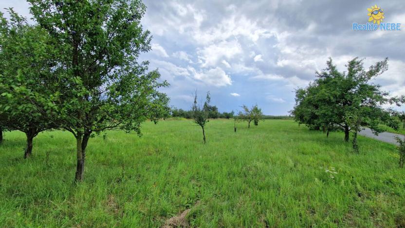 Prodej pozemku pro bydlení, Rešice, 3572 m2