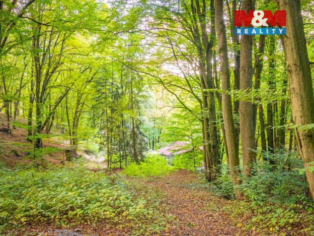 Prodej chaty, Kaliště, Obec, 42 m2