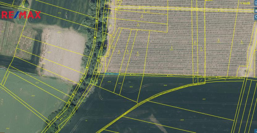 Prodej podílu 1/2 pole, Radovesice, 3165 m2