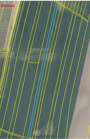 Prodej podílu 1/2 pole, Radovesice, 3165 m2