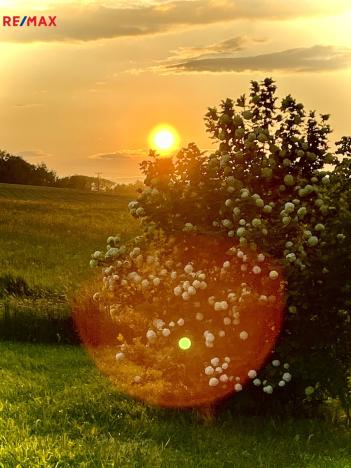 Prodej rodinného domu, Uhelná Příbram - Pukšice, 300 m2