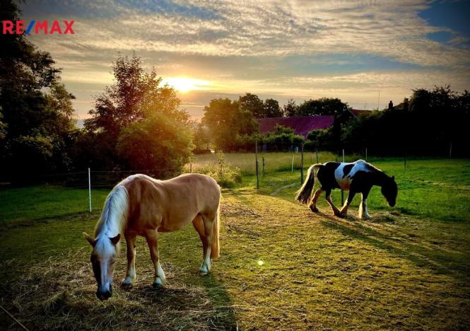 Prodej rodinného domu, Uhelná Příbram - Pukšice, 300 m2